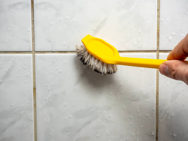 Best Water Damage Restoration  in Oxford, PA